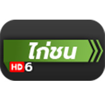 ไก่ชน hd6