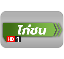 ไก่ชน hd1