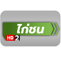 ไก่ชน hd2