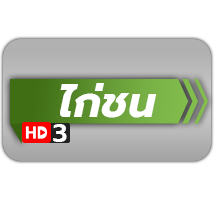 ไก่ชน hd3