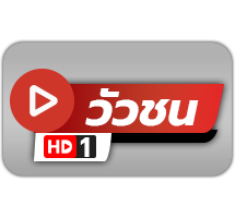 วัวชน hd1